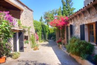 Arta Finca (1)